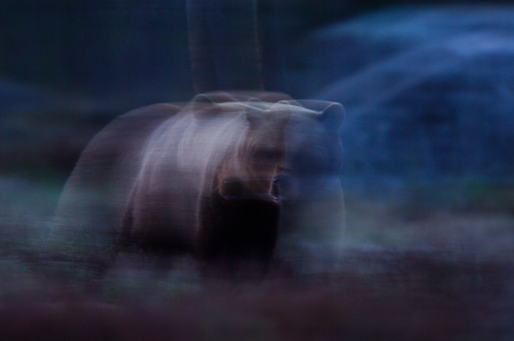 Presentkort Upplevelser